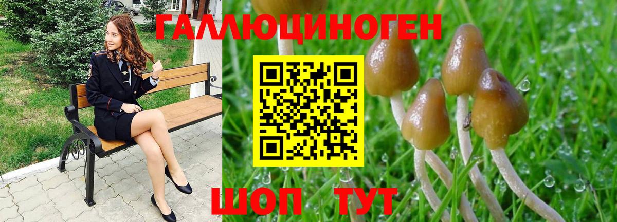 Псилоцибиновые грибы ЛСД  Вход с VPN  Карабулак 