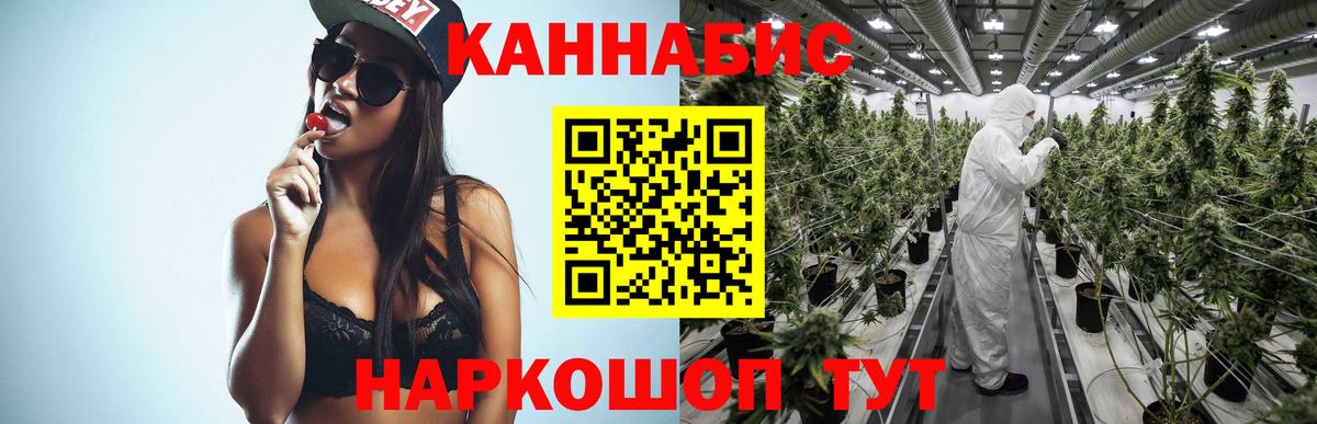 Шишки марихуана планчик Карабулак